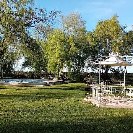 Antico Casale Dei Sogni Agriturismo Lugo (Ravenna) Exterior foto