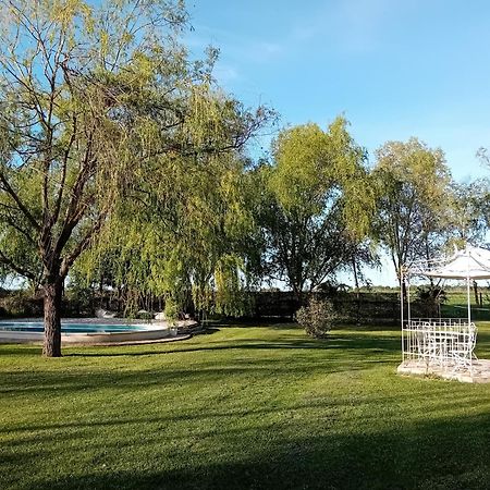 Antico Casale Dei Sogni Agriturismo Lugo (Ravenna) Exterior foto
