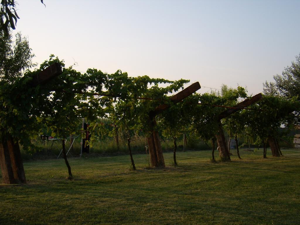 Antico Casale Dei Sogni Agriturismo Lugo (Ravenna) Exterior foto